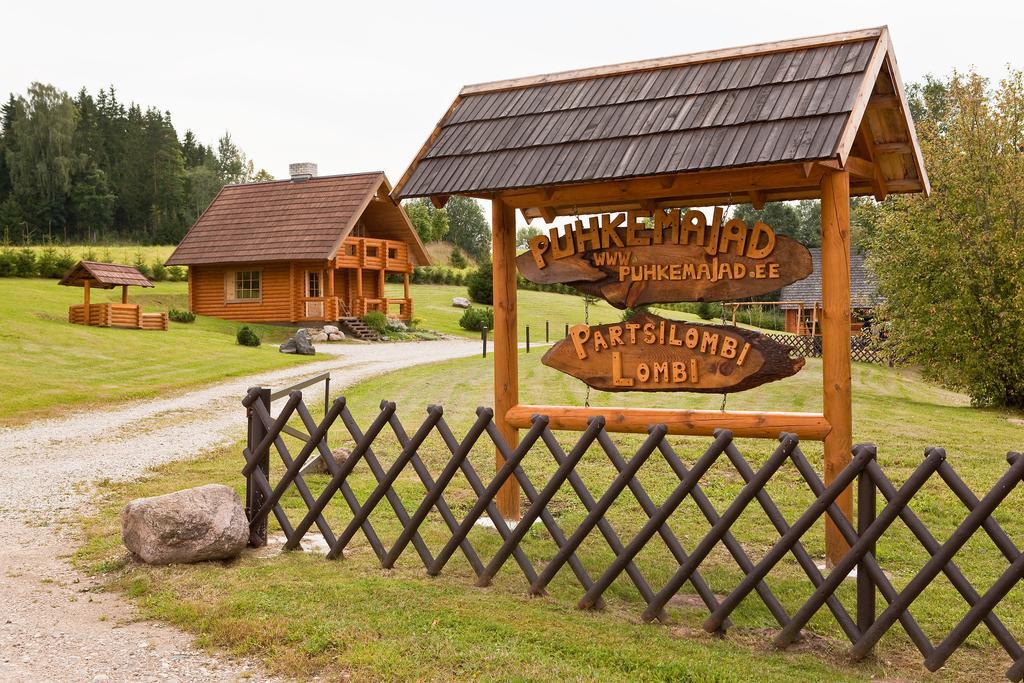 Partsilombi Holiday Home Отепяе Екстер'єр фото